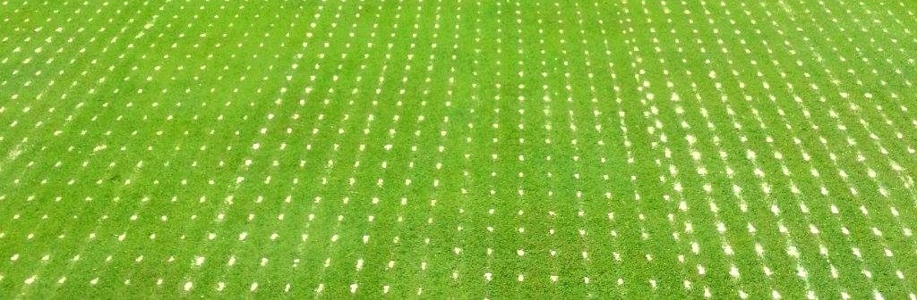 aerification