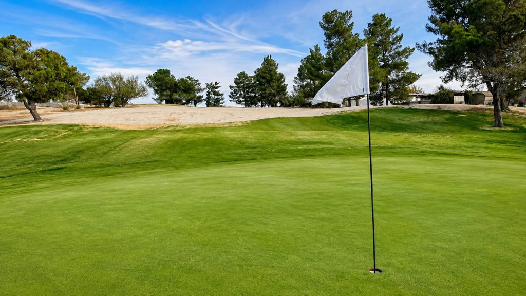 Flagstick on a smooth putting green with bunker and trees at Green Tree Golf Club.