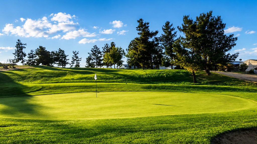 Golf green and flag with fairway, trees, and neighborhood views at Green Tree Golf Club.