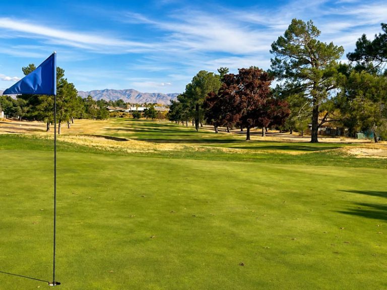 Blue flag on a green with mountain views at Green Tree Golf Club in Victorville.