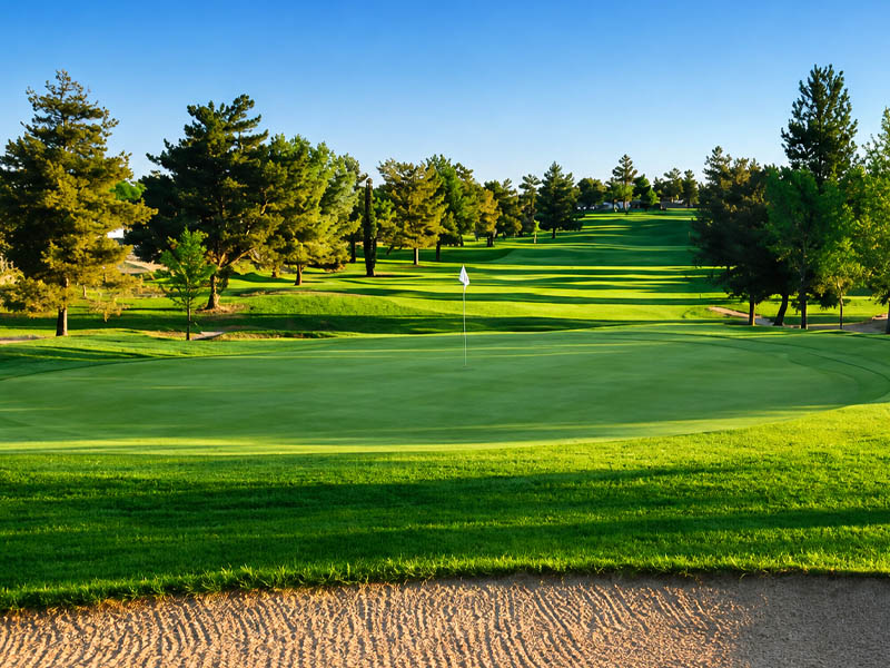Elevated view of a green, bunker, and tree-lined fairway at Green Tree Golf Club.