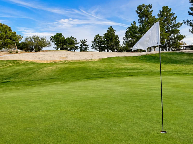 Flagstick on a smooth putting green with bunker and trees at Green Tree Golf.