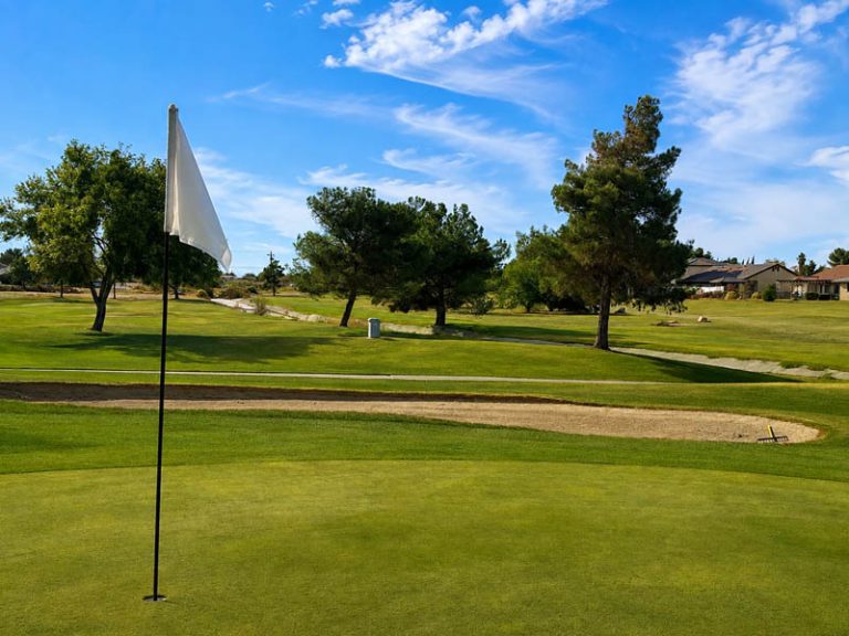 Golf green and flag with fairway, trees, and neighborhood views at Green Tree Golf Club.