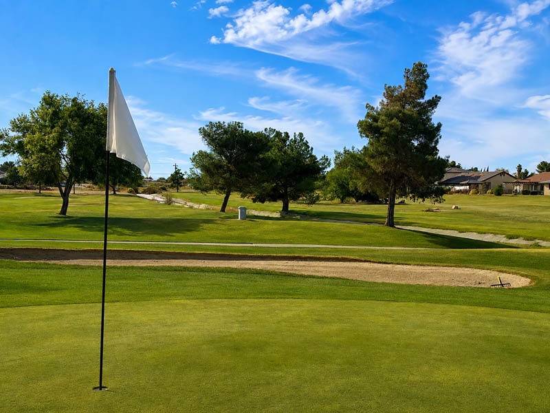 Golf green and flag with fairway, trees, and neighborhood views at Green Tree Golf Club.