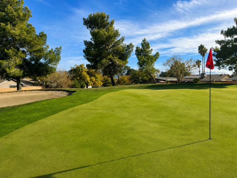 Red flag on a putting green surrounded by trees at Green Tree Golf Club.